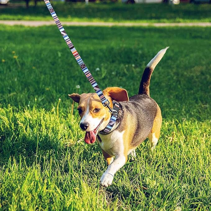 Roses&Poetry Dog Collar with Colourful Stripe Patterns, Adjustable Durable Puppy Collars for Small Medium Large Dogs (Stripe-XS)