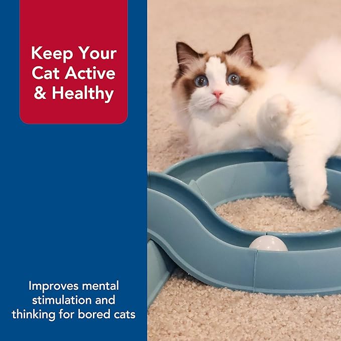 Coastal Pet Turbo Track Cat Toy - Cat Ball Toy & Racetrack - Easy Assembly - Slate Blue (1 Pack)