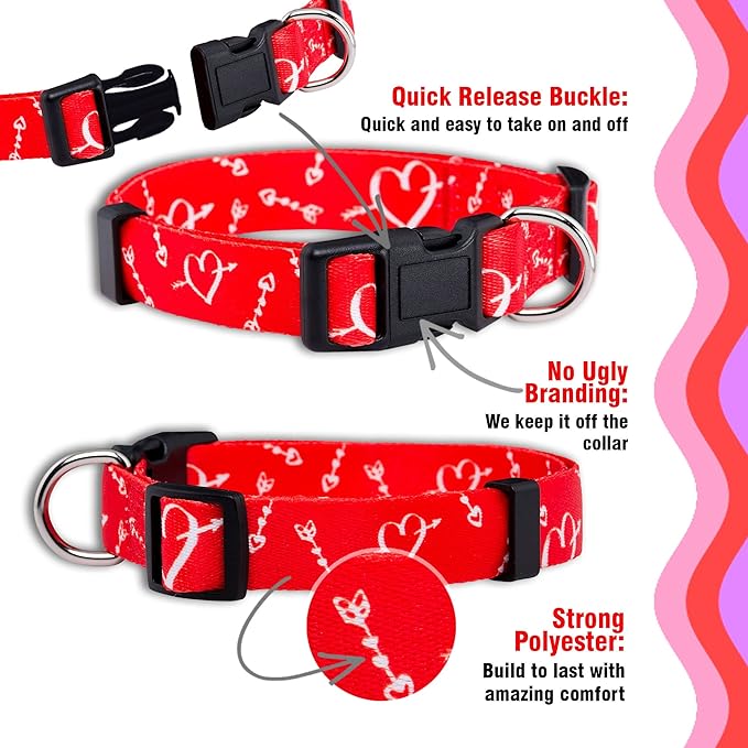 Native Pup Valentine’s Dog Collar- Valentines Day Pet Collars- Valentine Girly Hearts- Pink Red Heart- Cute Boy Girl Puppy Gift- Adjustable for Small, Medium, Large Breeds (Cupid's Arrows, Large)