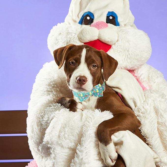 Easter Dog Collar with Bowtie, Eater Bunny Eggs Dog Collars, Soft Durable Adjustable Easter Puppy Pet Collar for Small Medium Large Dog Collar