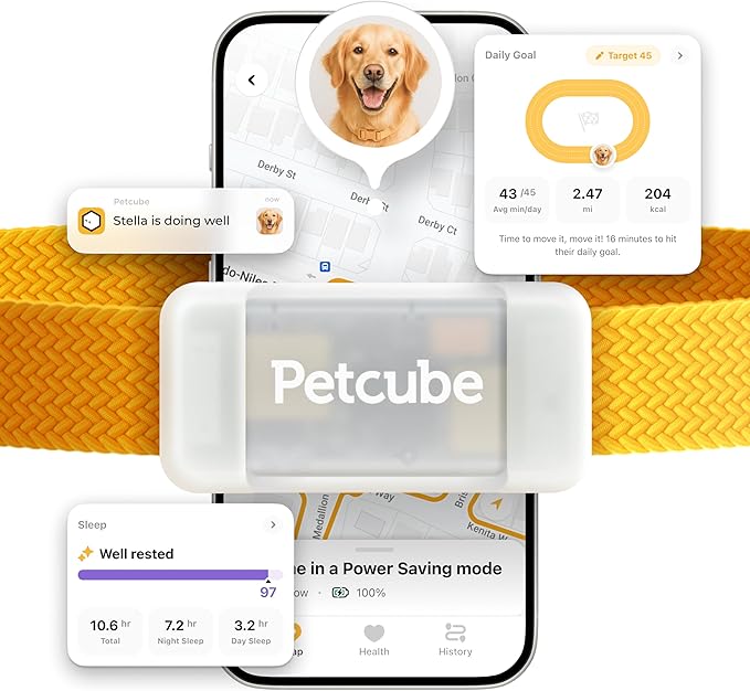 Petcube GPS Tracker for Dogs – Real-Time Location Tracking, Escape Alerts & Virtual Fences, Activity & Wellness Monitoring, Glow-in-The-Dark, Water & Dust Resistant