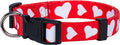 Native Pup Valentine’s Dog Collar- Valentines Day Pet Collars- Valentine Girly Hearts- Pink Red Heart- Cute Boy Girl Puppy Gift- Adjustable for Small, Medium, Large Breeds (Red Heart, Medium)