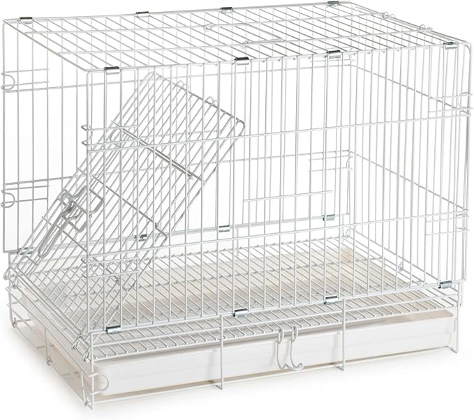 Collapsable Bird, Parrot, Dog, Bunny, Rabbit and Cat Carrier Travel Vet Carrier Cage (19" x 12" x 16"H, White)