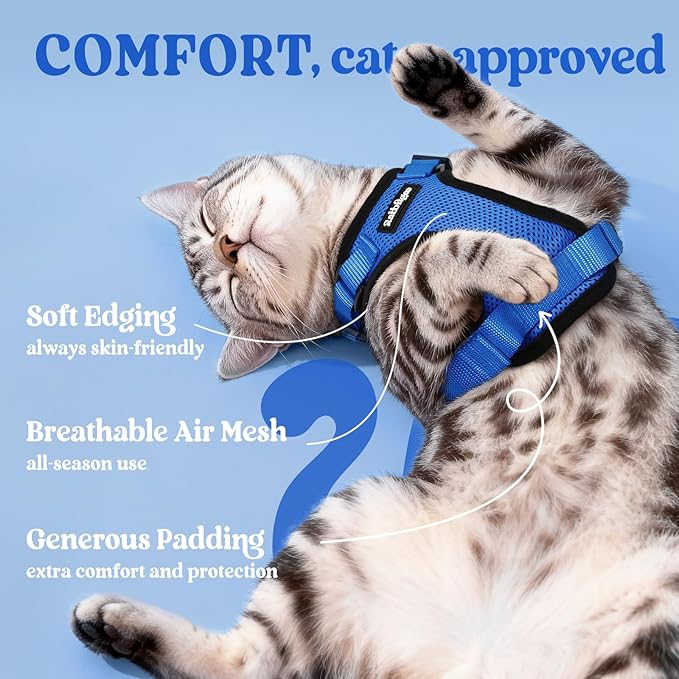 rabbitgoo Cat Harness and Leash for Walking, Escape Proof Soft Adjustable Vest Harnesses for Cats, Easy Control Breathable Reflective Strips Jacket, Navy Blue, XXS
