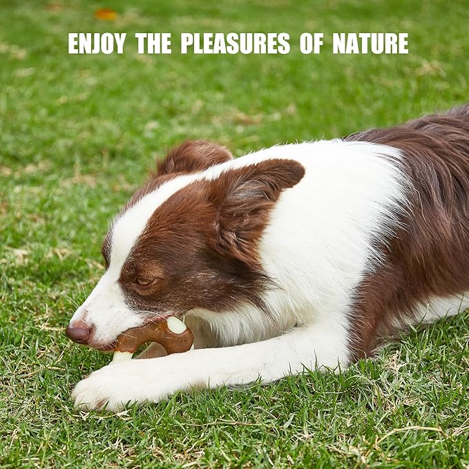 Durable Nylon Dog Bones, 2 Pack Dog Toys for Aggressive Chewers, Beef-Flavored U-Shaped Bone Chew Toys for Largel/Medium/Small Dogs, Teething and Boredom Relief