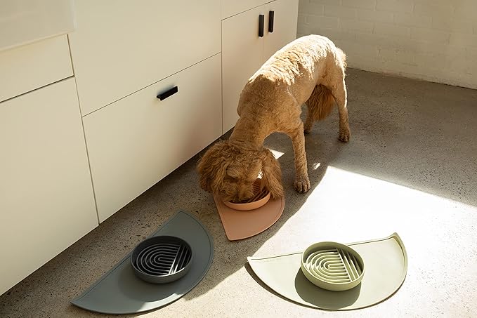 Should We Go - Waterproof Silicone Pet Food Mat - Non-Slip, Spill-Proof Feeding Mat for Floors, Raised Edge Design, Easy-to-Clean Pad for Dog & Cat Bowls, 21" Across x 10.5" Deep, Medium-Charcoal