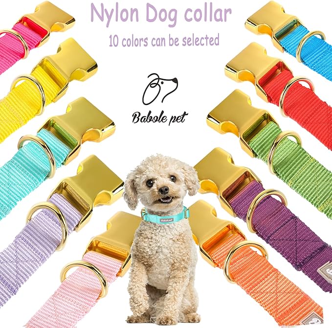 Nylon Dog Collar - Adjustable Lake Blue Soft Webbing Dog Collars for Small Medium Large Dogs Boy Girl Puppy Collar with Safety Metal Buckle XS