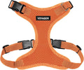 Voyager Step-in Pet Harness - All Weather Mesh, Adjustable Step in Harness for Cats and Dogs by Best Pet Supplies - Orange, XL