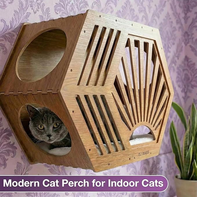 Modern Hexagonal Cat Wall Shelf System, 6-Piece Wood Wall Mounted Cat Furniture with 2 Small Hexagons, 1 Large Hexagon and 3 Climbing Steps, Geometric Cat Shelves