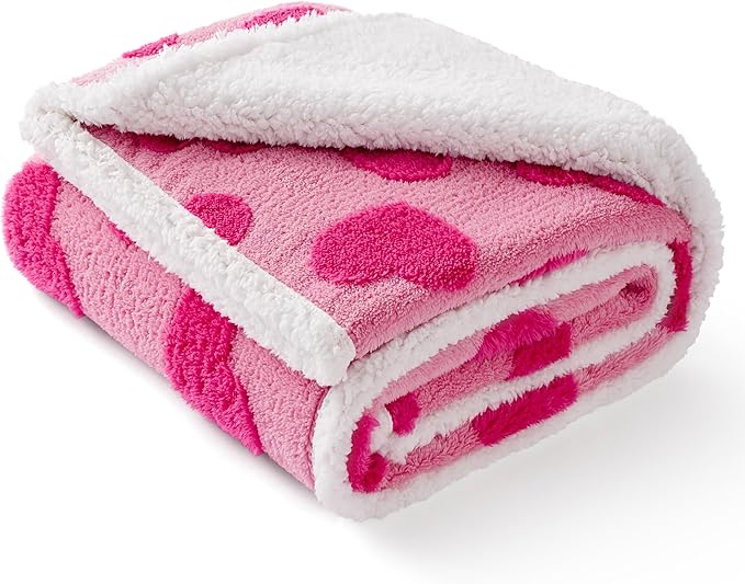 LE SURE Waterproof Puppy Blanket for Small Dogs - Washable Double Sided Dog Blankets Valentine's Day Gift with Warm Soft Sherpa Fleece, Pet Cat Blanket for Couch Protection, Lover Hearts