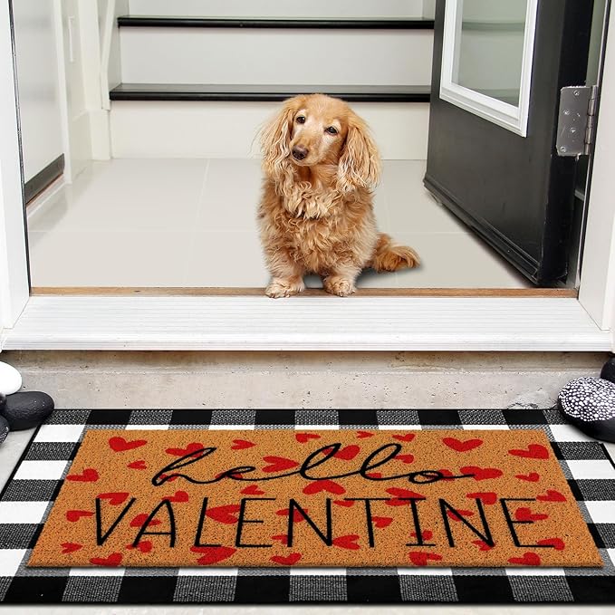 Tinideya 2 Pcs Valentine Door Mat Hello February 14th Welcome Non Slip Coir Mats Red Heart Black and White Plaid Floor Layering Doormats Seasonal for Front Porch Entryway Decor(Valentine)