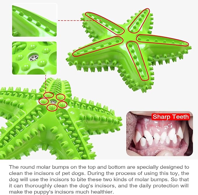 Chew Toy for Dog Toothbrush Stick Dog Toys for Aggressive Chewers Interactive Toys Treats Tough Toy to Keep Them Busy Chew Toys for Small Dogs (Star Toy - Green)