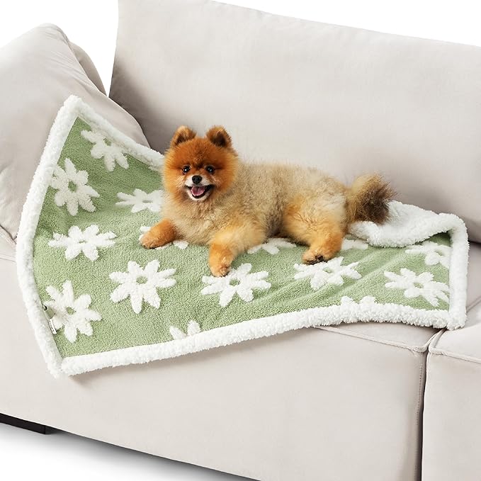 LE SURE Waterproof Puppy Blanket for Small Dogs - Washable Double Sided Dog Blankets with Warm Jacquard Shag and Soft Sherpa Fleece, Pet Cat Blanket for Couch Protection, 3D Textured Cloud, Green