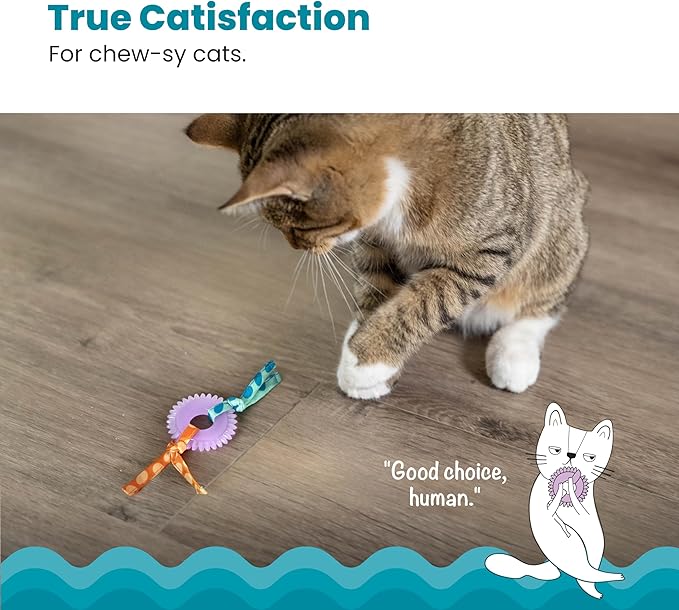Catstages Kitty Chew Wheel, Dental Cat Toy with Catnip Oil, Teeth Cleaning, Healthy Chewing, Boredom Relief, Kicking & Batting for Kittens and Adult Cats, Purple (Pack of 2)