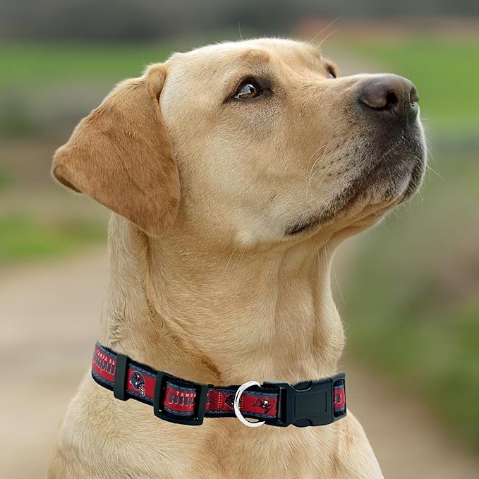 Pets First NFL Tampa Bay Buccaneers Licensed PET COLLAR, Medium - Heavy-Duty, Strong, and Durable Dog Collar. Available in 31 Football Teams and 4 Sizes