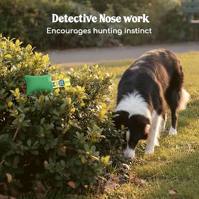 Race&Herd Original Dog Scent Training Kit, Scent Work Training Kit for Dogs - Nosework for Dog Mental Stimulation Agility Training Equipment for Dogs, Brain Games Smell Training Kit for Loss of Smell