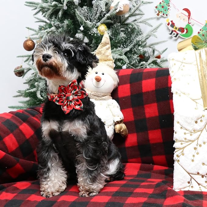 Christmas Dog Collar with Flower, Christmas Flower Collar for Puppy Girl Boy Dog or Cat, Comfortable Dog Collar Flower with Durable Metal Buckle, Cute Pet Collar, S