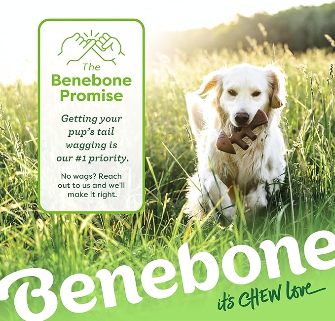 Benebone Fishbone Durable Dog Chew Toy for Aggressive Chewers, Real Fish, Made in USA, Giant