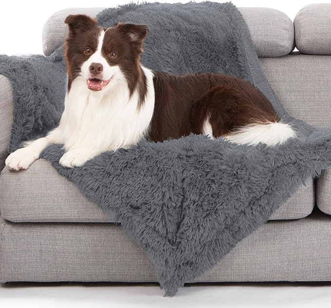 gogobunny Waterproof Dog Blanket for Couch & Furniture Protection - Super Soft Reversible Throw for Large Dogs & Cats, Calming Washable Fur & Sherpa Pet Blanket (40x50 Inch, Light Grey)