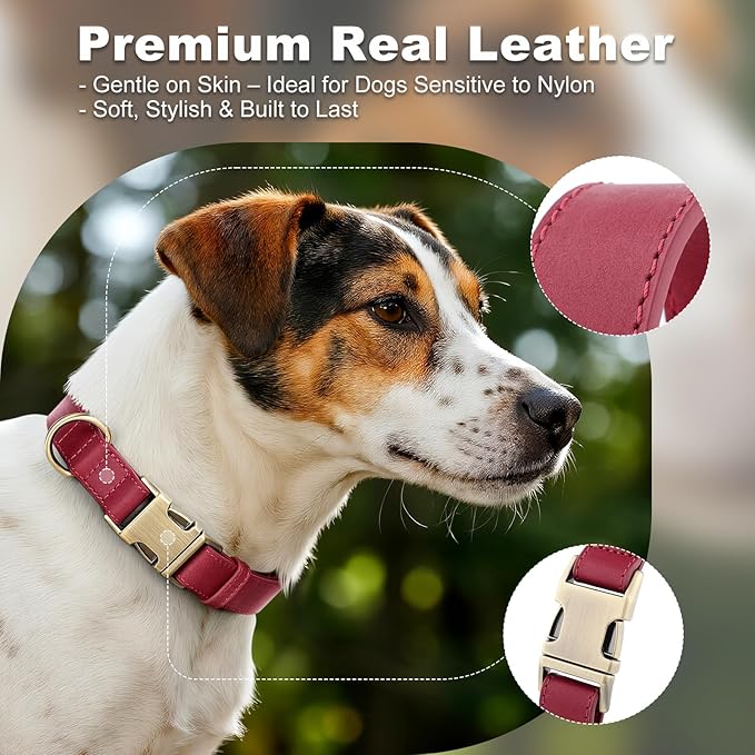 Plutus Pet Genuine Leather Dog Collar – Adjustable Pet Collar with Quick Release Metal Buckle, Soft Real Leather for Small Medium Large Dogs, Heavy Duty & Skin-Friendly (Burgundy, S)