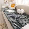 FUNNY FUZZY Pet Couch Covers for Sofa, Flannel Dog Couch Cover for Dogs Washable, Sofa Cover Furniture Protector Pet-Friendly Sofa Cover for Dogs & Kids (Dark Gray, 27.6"×70.9")