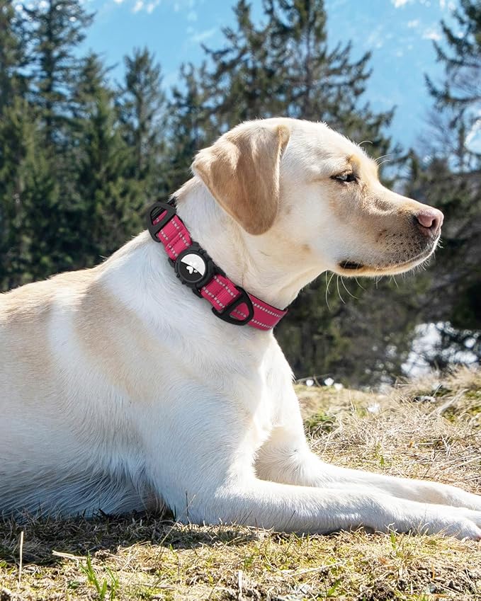 Joytale Airtag Dog Collar, Reflective Pet Collar with Waterproof AirTag Holder, Dual D-Rings, Soft Padded Adjustable for Small Dogs, Hotpink, S