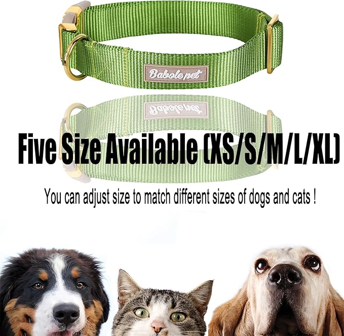 Nylon Dog Collar - Adjustable Green Soft Webbing Dog Collars for Small Medium Large Dogs Boy Girl Puppy Collar with Safety Metal Buckle S