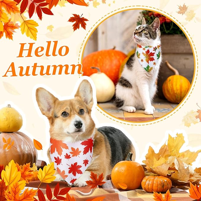 Chunful 100 Pieces Thanksgiving Dog Bandanas Bulk Fall Autumn Pet Bandanas with Leaves Patterns Triangle Scarf Bib Kerchief Set for Small Large Dog Costume Accessories (25.6 x 17.7 x 17.7)