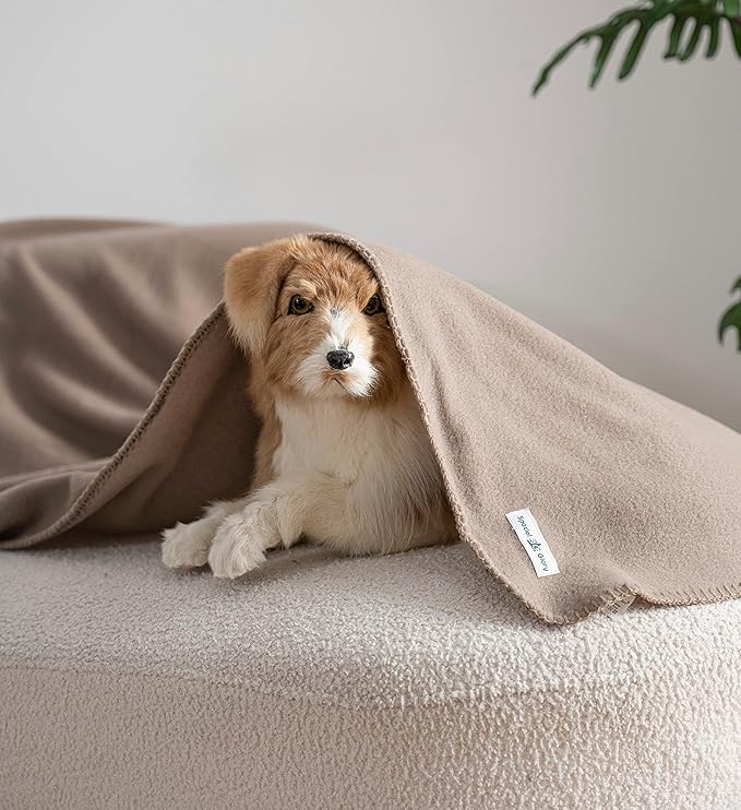 Fleece Throw Blanket Set Bulk for Travel Kids Outdoor Wedding Pet (Camel, Pack of 6 50x60 Inches)