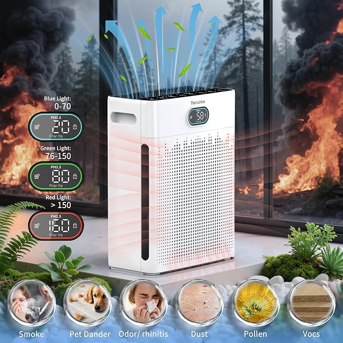 Air Purifiers for Home, PM 2.5 Air Quality Monitor Cover Up to 2200 Ft² with Pet mode, Timer, HEPA Air Purifier with Washable Pre-filter, Fragrance Sponge for Smoke, Odor, Dander, Pollen (Black)