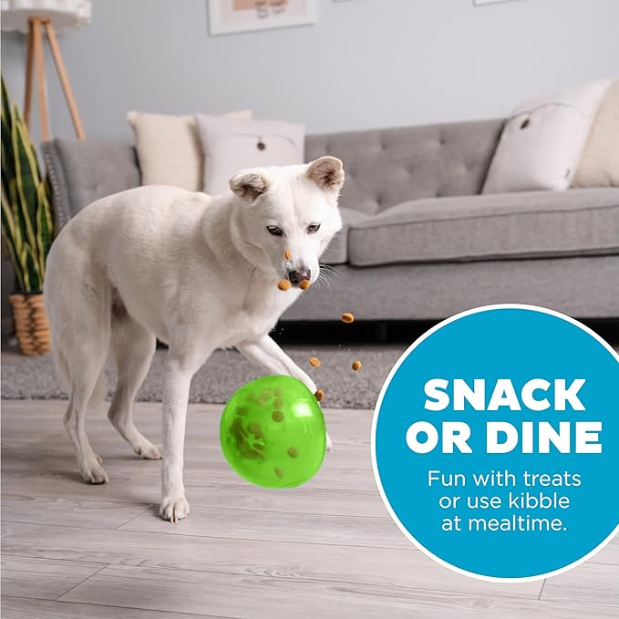 Outward Hound by Planet Dog Snoop Dog Toy – Treat‑Dispenser Puzzle Ball, Interactive Slow Feeder, Medium to Large Dogs, Bouncy & Mint-Infused, Green, 5"