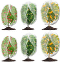 6Pcs Plant Covers from Insects, 3Size Bird Netting Barrier for Blueberry Bushes with Drawstring Zipper Mesh Garden Netting Plants Bags for Protect Fruits Tree Tomato Vegetable 2.6×3.3, 3.3×5, 4×5Ft
