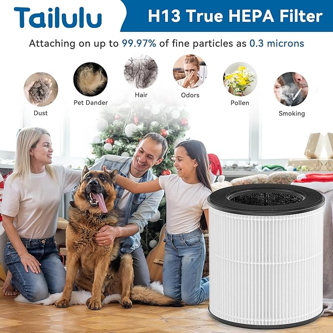 Tailulu Official AP100 Air Purifier Replacement Filter, 3-in-1 Air Purifier Filter, True H13 HEPA Filter, 2Pack