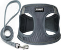 Dog Harness with Leash Set, No Pull Adjustable Reflective Step-in Puppy Pet Vest Harnesses for Small Medium Large Dogs and Cats,Grey M