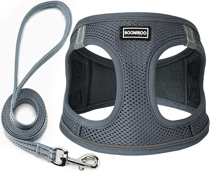Dog Harness with Leash Set, No Pull Adjustable Reflective Step-in Puppy Pet Vest Harnesses for Small Medium Large Dogs and Cats,Grey XL