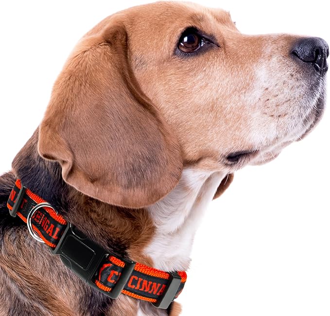 NFL Cincinnati Bengals X-Large Football Team Collar for Dogs & Cats - Shiny & Colorful Licensed by The NFL