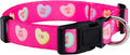 Native Pup Valentine’s Dog Collar- Valentines Day Pet Collars- Valentine Girly Hearts- Pink Red Heart- Cute Boy Girl Puppy Gift- Adjustable for Small, Medium, Large Breeds (Candy Hearts, Medium)