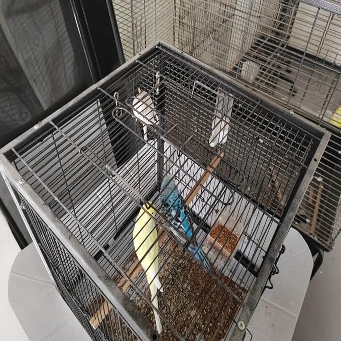 Metal Bird Cage 24 Inch High, Parrot Cage with Pull-Out Tray and 2 Perches, Bird Carrier for Parakeet, Cockatiels, Budgies and Small Medium Sized Birds Black