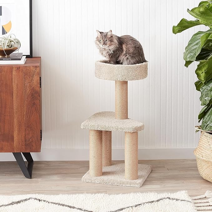 Amazon Basics Cat Tree - Multi-Level Climbing Activity Tower with Jute Rope Scratching Posts for Indoor Cats & Kittens, Medium (31.5" H), Beige