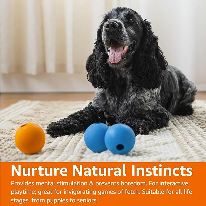 Amazon Basics Interactive Bouncy Durable Rubber Dog Toy Balls, 2.5 inch, Blue, Orange, Pack of 3