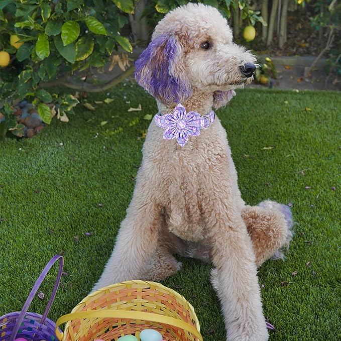 MR. CHUBBYFACE Easter Dog Collar, Purple Rabbit Pet Collar with Flower, Adjustable Puppy Collar Bowtie for Small Medium Large Dogs