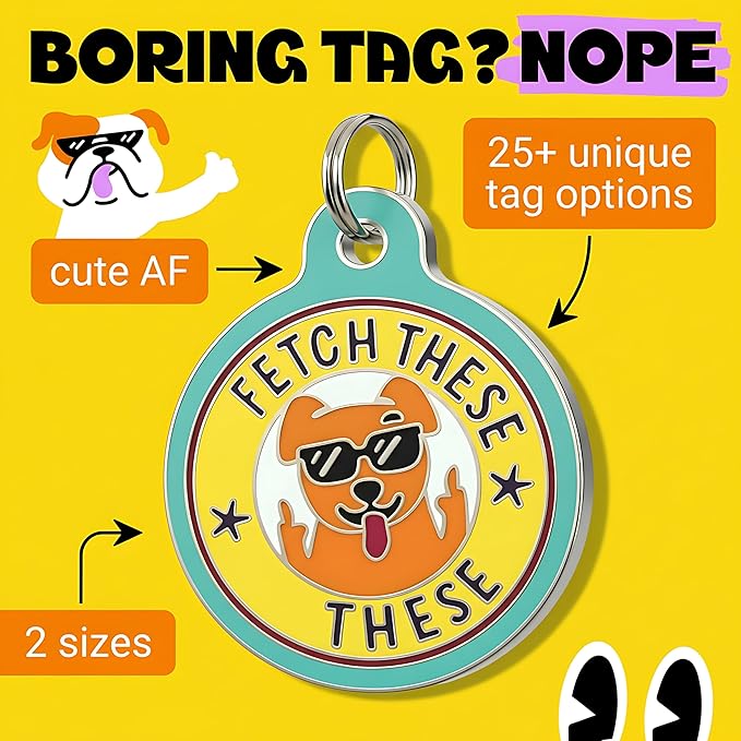 Bad Tags Personalized Dog and Cat ID Tags in 25+ Designs and 2 Sizes - 5 Lines of Custom Engraved Text - Funny Cute Personalized Pet Tags (Fetch These, Large (1.25 inch))