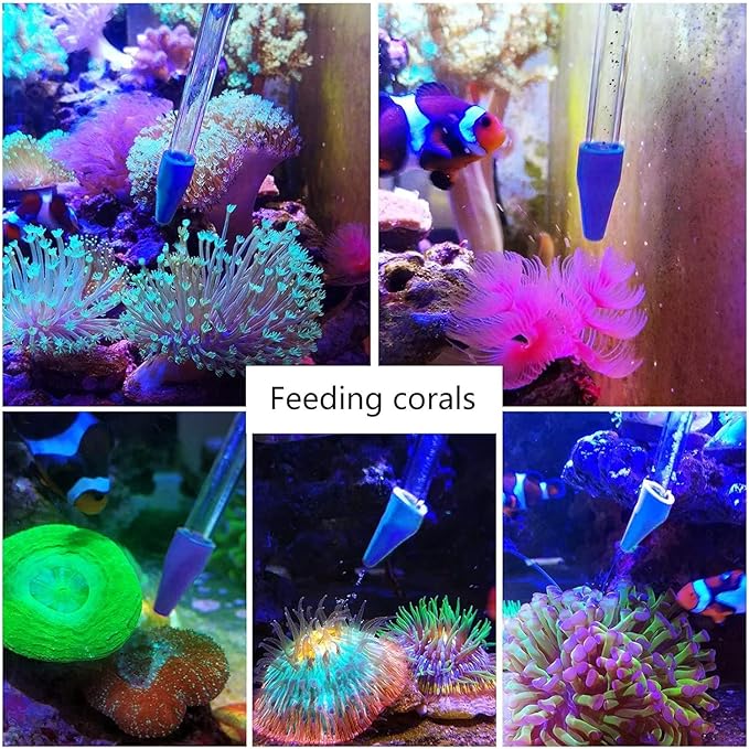 31.5Inch Long Corals Grabber,reefs Feeders,Aquarium Veggie Feedting Tool,Aquarium Food Clip Feeding(Long Reef Grabber and Coral Feeder Kits(Anti-Rust)