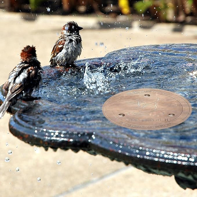 TIANCENTRAL H Bird Bath Copper Disk 2PCS-99.99% Pure Copper Cleaning Disk with Triple-Point Support 1mm Reinforced Water Purification Disk for Bird Baths,4 Inch