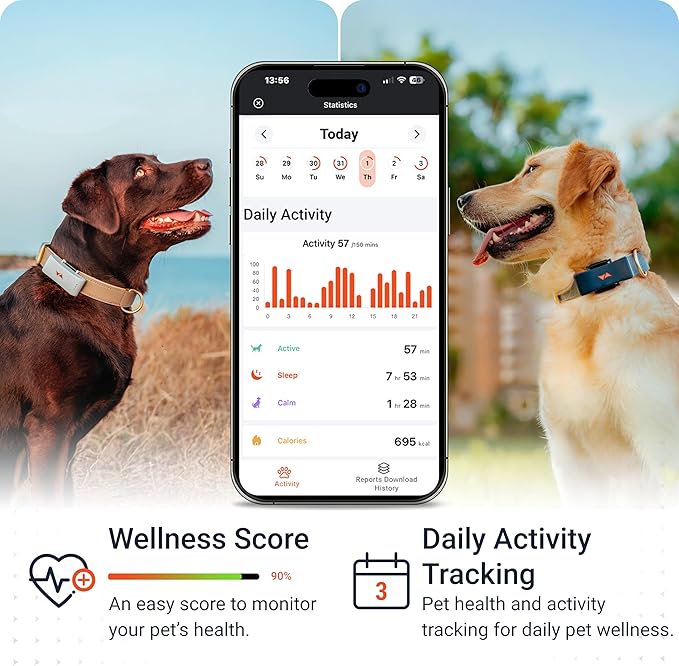 PAJ GPS Tracker for Dogs - 4G GPS Collar Tag with Real-Time Location Tracking & Runaway Alert - Waterproof & Up to 10 Days Battery Life - Fits Any Collar w/Glowing LEDs - Subscription Required - Grey