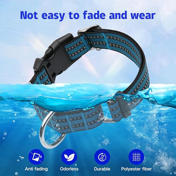 Martingale Dog Collar, Adjustable Nylon Reflective Collar with Quick Release Buckle (Gentian Blue, Small)