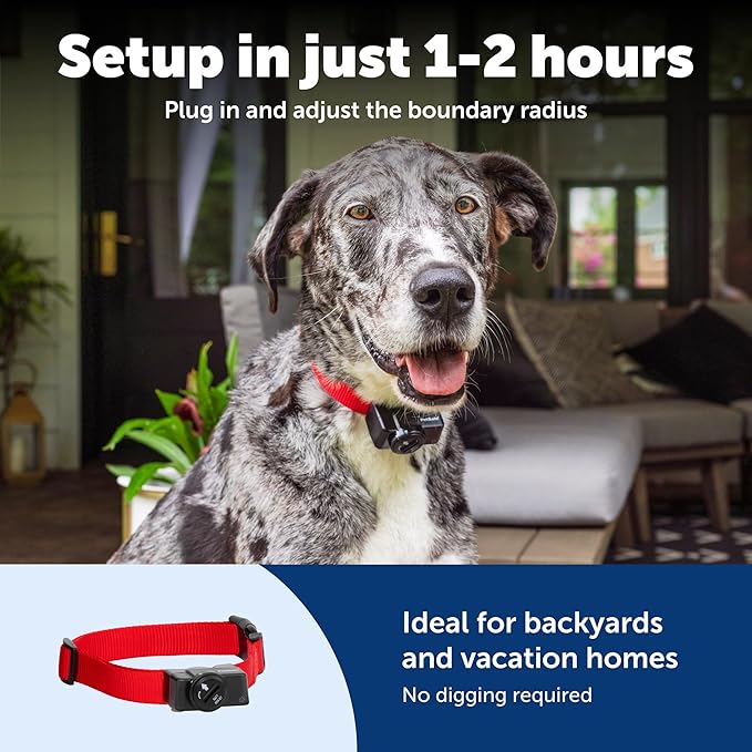PetSafe 2-Dog Wireless Pet Containment System - Original Wireless Electric Fence for Dogs - Covers Up to 1/2 Acre - for Pets 5lb+