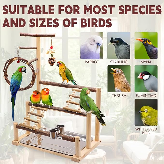 ‌Bird Playground, Natural Wooden Parrot Stand with Feeding Cups, Swing, Chew Toys, and Other Cage Accessories for Small to Medium Birds.Ideal for Cockatiels, Budgies, African Greys, and Conures