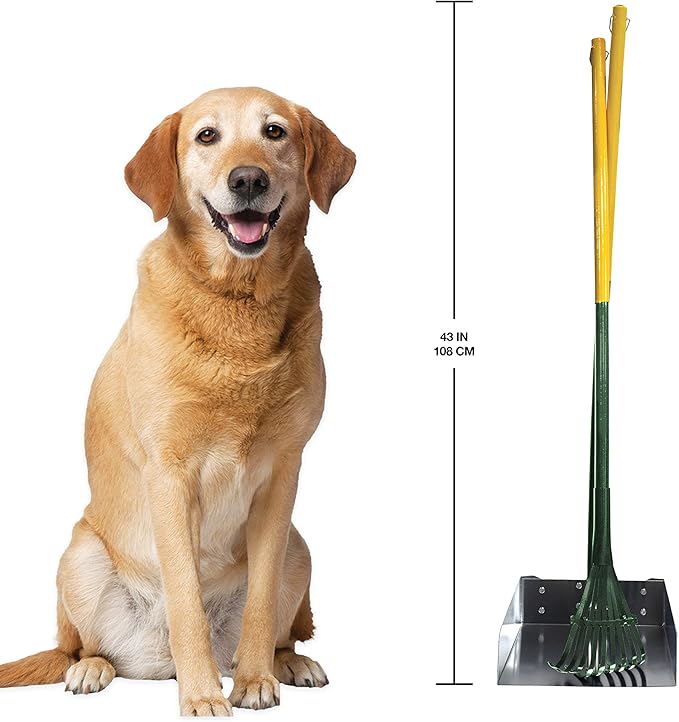 Four Paws Stainless Steel Long-Handled Dog Pooper Scooper Rake & Pan 2 Piece Set, Pet Waste Pickup Tool, 38" x 10"