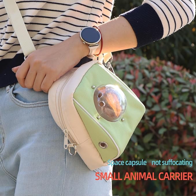 Hamster Carrier, Suitable for Sugar Gliders, Rats, Parrots and Other Small Pets, Breathable Bird Backpack with Transparent Spacecraft (Green)
